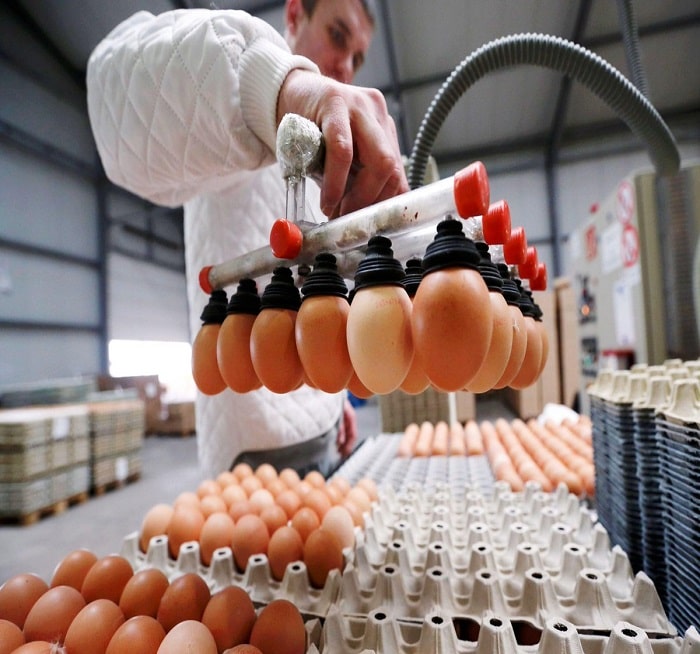 خط تولید سودآور